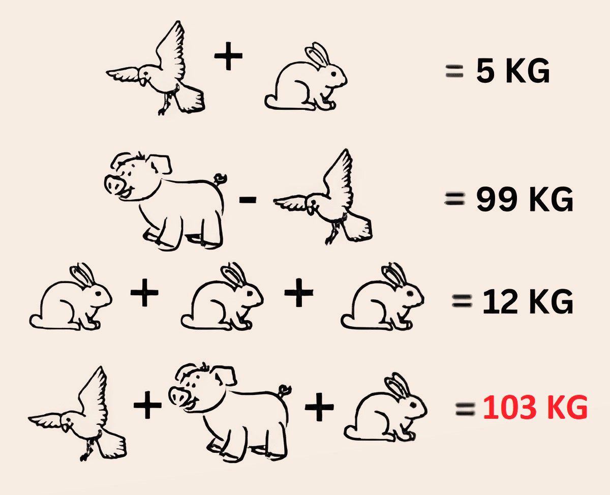 پاسخ تست هوش ریاضی وزن حیوانات مختلف