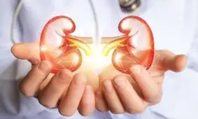 ۱۰ نکته برای پیشگیری از سنگ کلیه در روزهای گرم