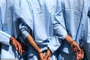 عوامل کلیپ جنجالی پیاده روی چمران بازداشت شدند