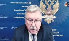 نماینده روسیه: حمله به ایران یک روز پس از قعطنامه آژانس، تصادفی نبود

