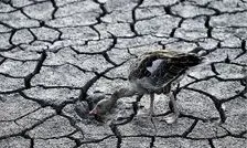 قرن خشکی در راه است؛ بهره‌برداری۸۰ درصدی ایران از منابع آب‌های زیرزمینی
