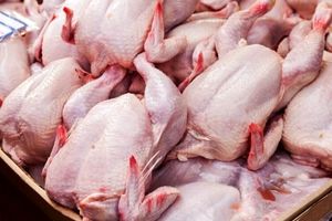 لیست قیمت گوشت مرغ ۶ بهمن