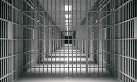 خبرسازی‌ها در مورد ۲ زندانی خارجی/ بهره مندی ۲ زندانی از امکانات رفاهی و پزشکی و ملاقات حضوری/ اعزام برنارد فیلان برای معاینه تخصصی نزد پزشک