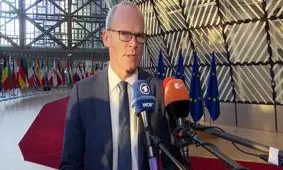 ایرلند: باید منتظر مدارک اثبات‌کننده کمک پهپادی ایران به روسیه بمانیم

