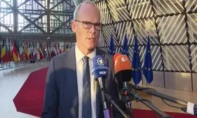 ایرلند: باید منتظر مدارک اثبات‌کننده کمک پهپادی ایران به روسیه بمانیم

