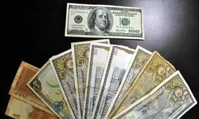 وقتی دلار ترمز می برد!؛ از گلایه‌های ارزی نمایندگان مجلس تا احتمال کاهش نرخ دلار در روزهای آینده!