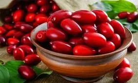 ارتباط مصرف زغال اخته با بهبود بیماری های مغز و اعصاب