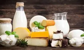 روش نگهداری لبنیات و نکات مهم برای حفظ سلامت آنها