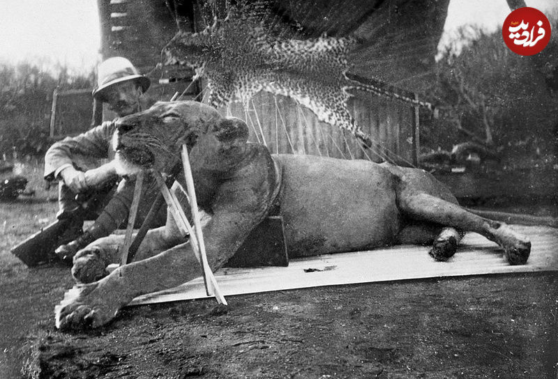 Colonel_Patterson_with_Tsavo-Lion