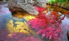 یکی از شگفت انگیزترین رودخانه های جهان