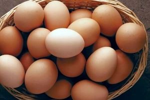 آیا تخم مرغ برای حافظه مفید است؟