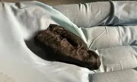 آدامس 10 هزار ساله‌ای که دختری با چشمان قهوه‌ ای آن را جویده است
