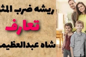 ریشه ضرب المثل تعارف شاه عبدالعظیمی از کجا آمده است؟