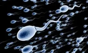 علل و درمان نکروزو اسپرمی یکی از علل ناباروری در مردان