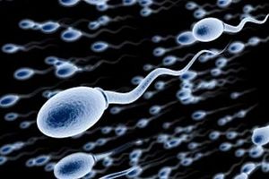 علل و درمان نکروزو اسپرمی یکی از علل ناباروری در مردان