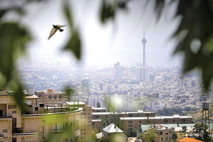 ممنوعیت پیاده روی در ساعات «سمی» تهران