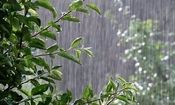 وضعیت پاساژهای مهاباد بعد از بارش شدید باران امروز در این شهر/ ویدئو