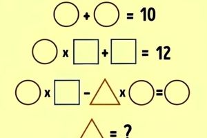 تست هوش/ این یک چالش ریاضی است که باید در 6 ثانیه ارزش شکل مثلث را در تصویر پیدا کنید؟