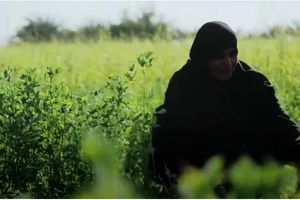 روایت روستای مصری که فقط زنان در آن زندگی می کنند
