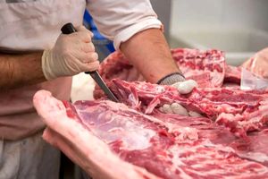 قیمت گوشت گرم و منجمد چند است؟ / کمبود گوشت صحت دارد؟