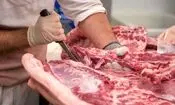 اختیارات ویژه استان‌های مرزی برای تامین کالاهای اساسی/تسهیل واردات دام زنده
