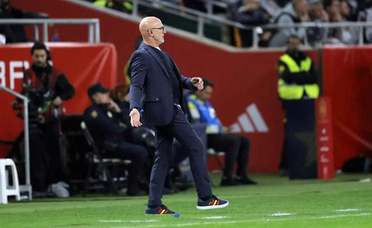 توضیح سرمربی تیم ملی فوتبال اسپانیا درباره یک صحنه جنجالی/ عکس