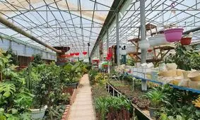 معرفی ۹ بازار گل در تهران 