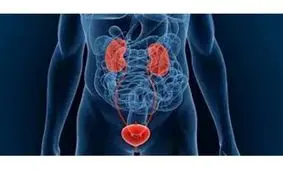 عوارض نگه داشتن ادرار