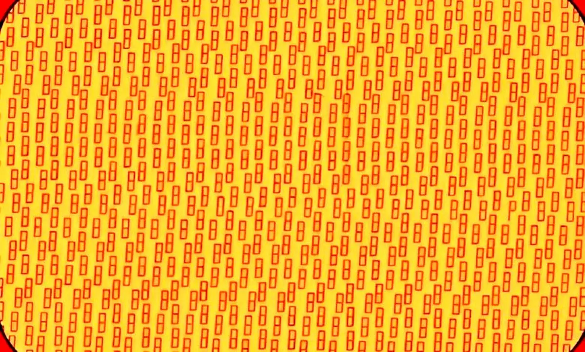 تست بینایی/ سعی کنید حرف P مخفی را در عرض چند ثانیه پیدا کنید