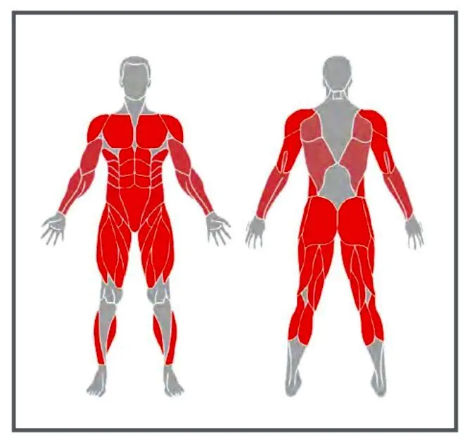 ورزش در خانه؛ برنامه تمرینی ویژه برای «تناسب اندام» + عکس