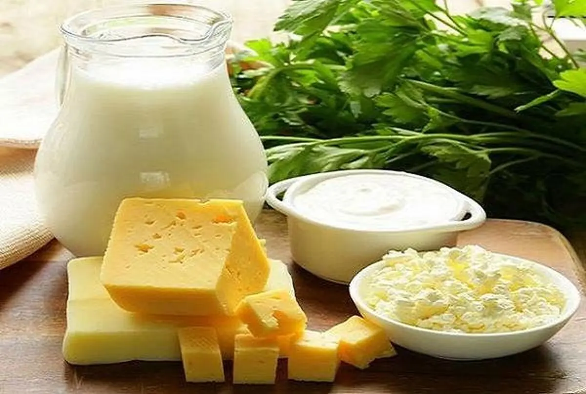 اثرات درمانی پروبیوتیک ها را بدانید