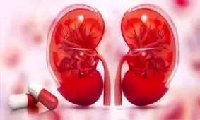 کنترل قند و فشار خون کلید پیشگیری از نارسایی کلیه است