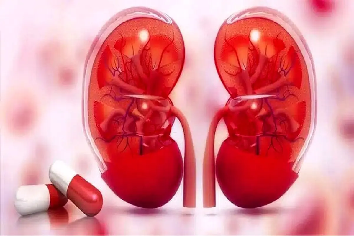 کنترل قند و فشار خون کلید پیشگیری از نارسایی کلیه است