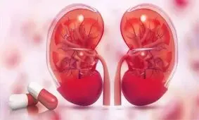 کنترل قند و فشار خون کلید پیشگیری از نارسایی کلیه است
