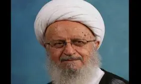 نظر آیت‌الله العظمی مکارم‌شیرازی درباره تشرف به حج امسال

