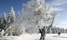 احتمال سرمای قطبی؛ آیا زمستان قرن در راه است؟