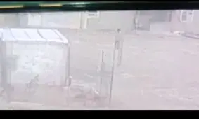  حمله وحشتناک گرگ به مرد سرخسی/ ویدئو