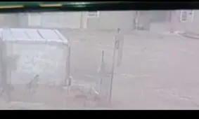  حمله وحشتناک گرگ به مرد سرخسی/ ویدئو