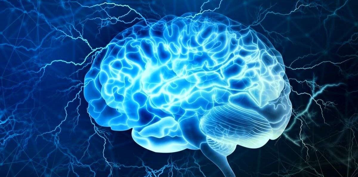 اوج عملکرد مغز انسان در چند سالگی است؟