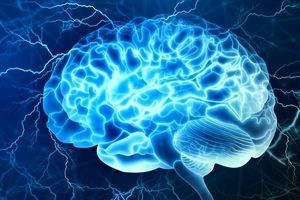 اوج عملکرد مغز انسان در چند سالگی است؟