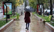بارش باران در ۲۱ استان