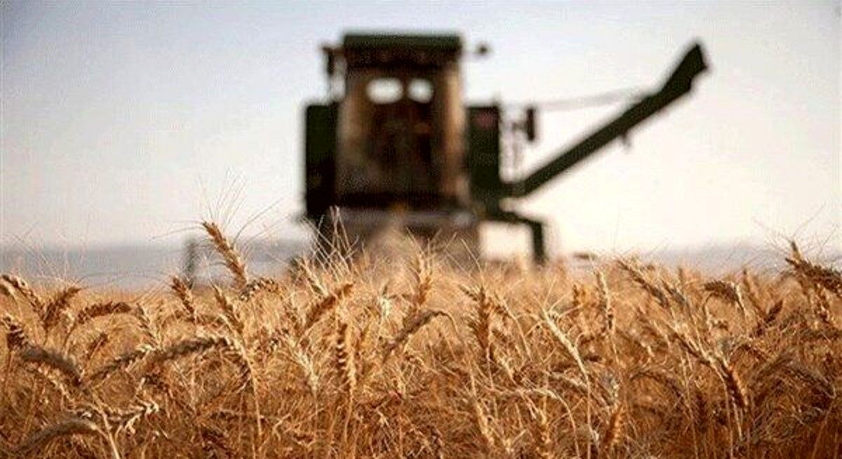 شوک جدید روسیه به اقتصاد جهان با تغییر در مدل فروش گندم