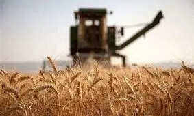 شوک جدید روسیه به اقتصاد جهان با تغییر در مدل فروش گندم