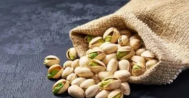 کانادا برای پسته ایران حرف و حدیث ساخت!