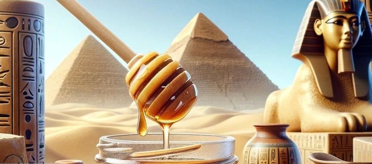 جالب است بدانید که عسل تنها ماده غذایی است که فاسد نمی‌شود