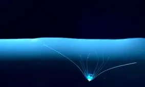 عکس‌های حیرت‌انگیز از زندگی در قطره‌های آب!