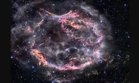 شکار «هیولای سبز» در تصویر جیمزوب