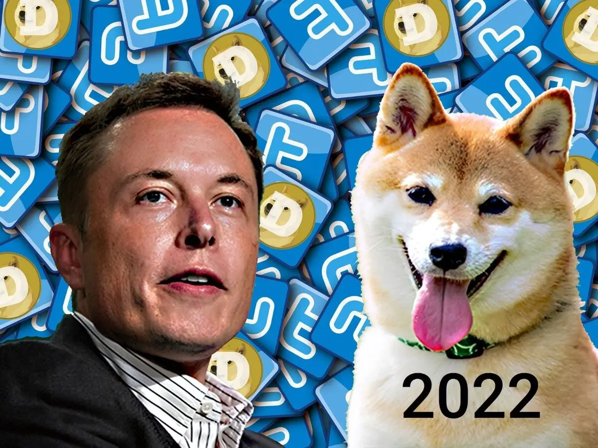 پیش بینی قیمت دوج کوین در سال 2022