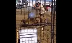 مربی زن در چنگ ببر گرفتار شد/ ویدئو