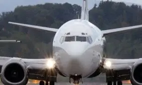 تکذیب شایعه فرود اضطراری هواپیما در یکی از پارک‌های تهران